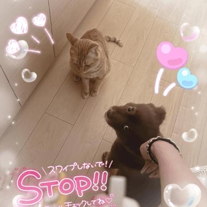 〇〇会議📝 ́͏̖-