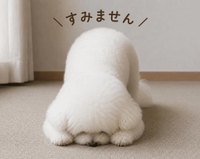 ご予約くださってた本指名のSさんへ