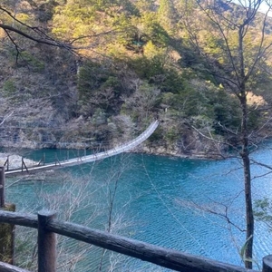 スリルを味わう🙀