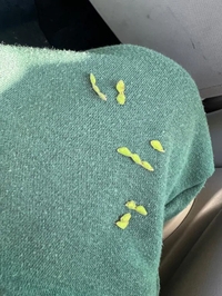 やっぱり...😮‍💨☝️