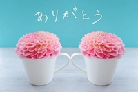 ありがとうございました♥️