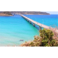 もも