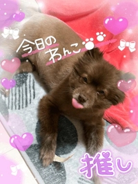 わん🐶🍼