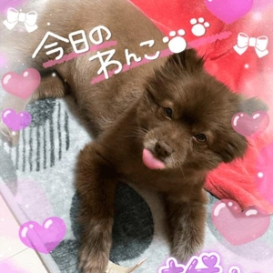 わん🐶🍼