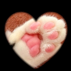 16日ありがとう💗