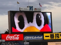 おねがい🪄