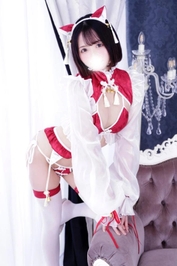 🐱お久しぶりです