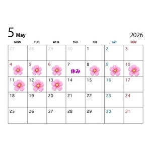 🌸お久しぶりです🌸