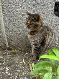 みたよ／シフト