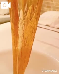 🍯:/とろとろの膜で包みます