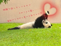 長い、長すぎるな…?