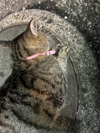 みたよ／シフト