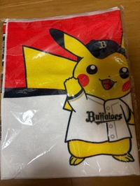 ピカチュウ◢(●'▽'●)◣