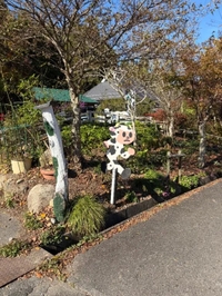 出てきちゃキケンよぉ〜🥺💦💦ひゃー‼️