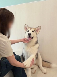 お休みの間?