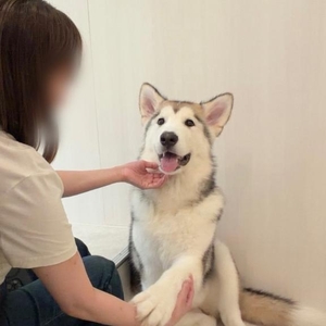 お休みの間?
