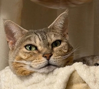 ありがとう💗💗💗