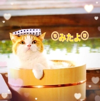 みたよ(*ˊ˘ˋ*)♡