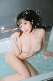 🐈月🐈‍⬛🐈日