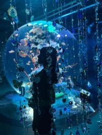 11月24日 ☀️晴れるのかな？