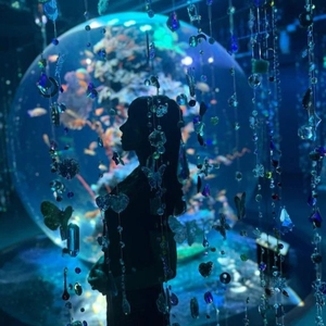 11月24日 ☀️晴れるのかな？