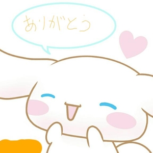 ︎🌟お礼︎🌟