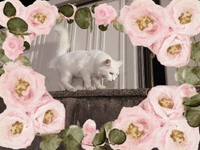 駐車場の猫さん🐈‍⬛