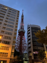 🚶‍♀️🚶‍♀️