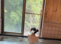 8月25お会いした方へ💌