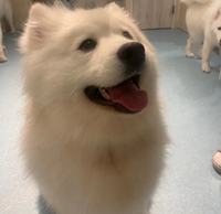 🈵本日13:00~ 埋まりました💐