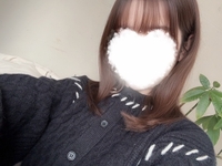 大人のシール図鑑💗