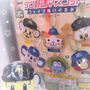 ガチャ活🪄