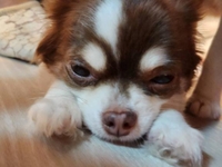 ご心配をおかけしました