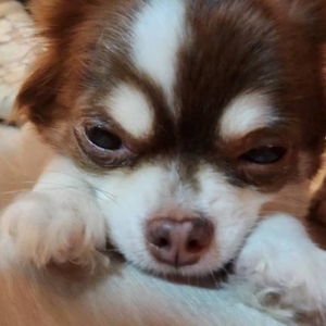 ご心配をおかけしました