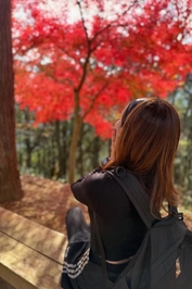 いちばん、好きな季節🍁は？いつですか😇