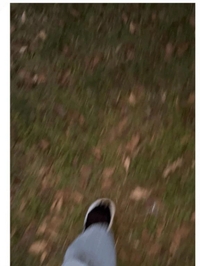 早朝おさんぽ🍁