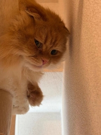 ありがとう💗💗💗