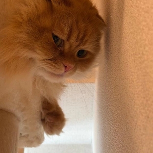 ありがとう💗💗💗