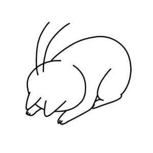 お休みです🙇‍♀️