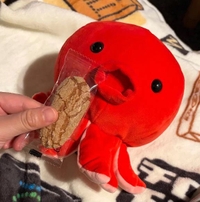 おはようございます‼️