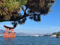 出勤してます♡