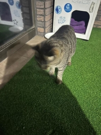 本日もありがとうございました！