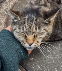 みたよ／シフト