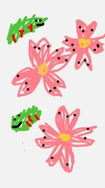 お花見🌸🐛
