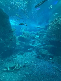 とりあえずの予定🗓