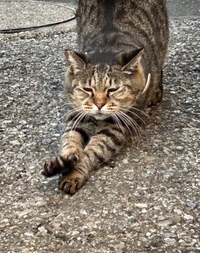 みたよ／シフト