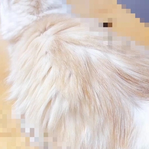 🩵 ゆる動画🐈♡（音量注意⚠️）🩵