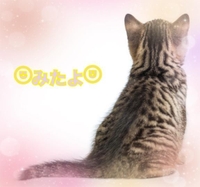 みたよ(*ˊ˘ˋ*)♡