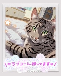 キテネポチ🔘