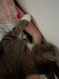 １日( ˘ω˘ 🫶)